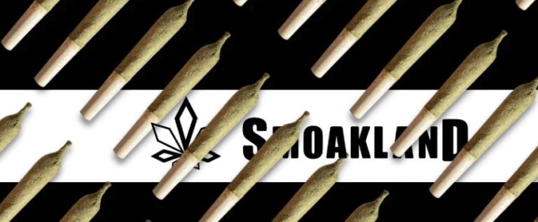 Smoakland is testing a loophole to promote hashish by bank card