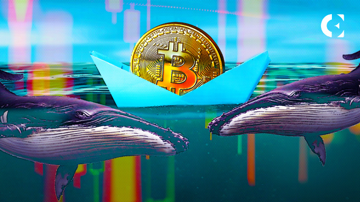 Crypto Influencer Sheds Mild on Mysterious BTC Whale Motion