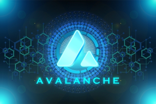 Avalanche Basis allocates $50 million to new tokenization program