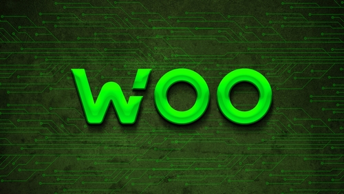 WOO Value Jumped 12% At this time: Can It Hit $0.3500 Quickly?