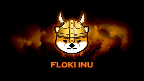 This is Why Floki Inu’s Value Jumped Over 50% Right now