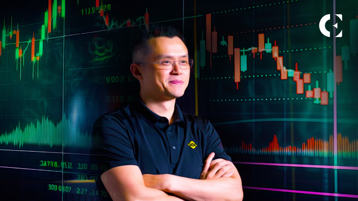 Binance CEO Notes Rising Fuel Payment Bull Market, Requires Constructive Opinion