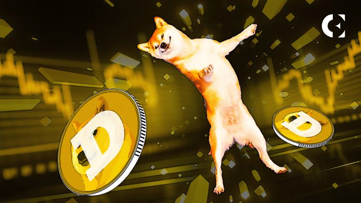 DOGE challenges doubt and propels each day transactions to new heights