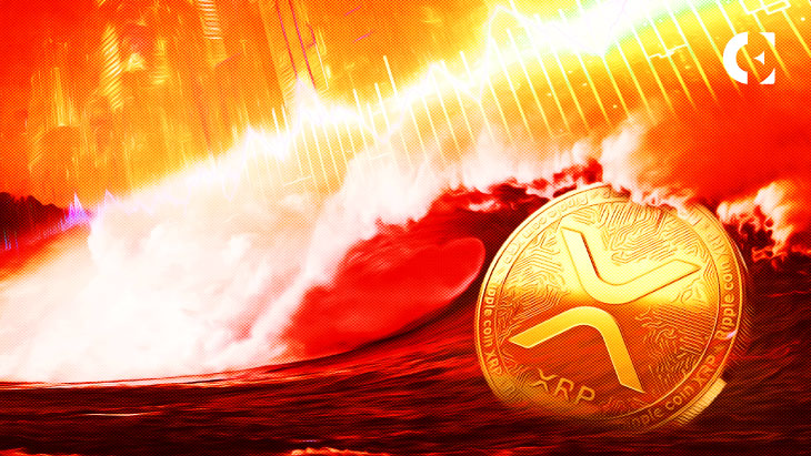 Whales bullish on XRP because it accumulates thousands and thousands of tokens