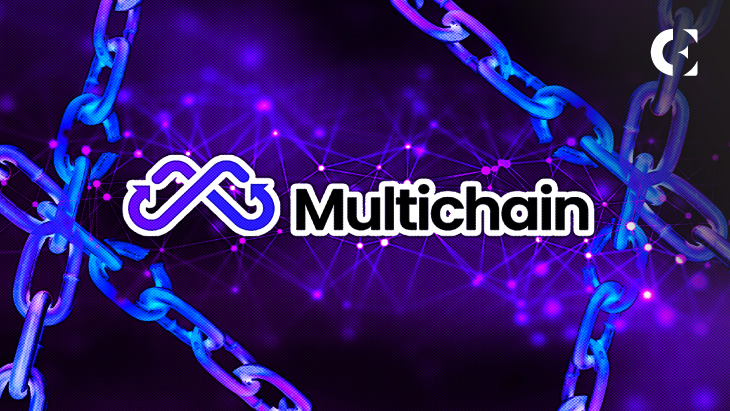 Multichain agrees to indemnify customers affected by drive majeure