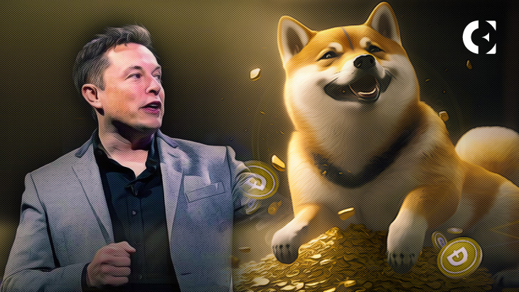 Elon Musk denies accusations of being a Dogecoin whale: experiences say