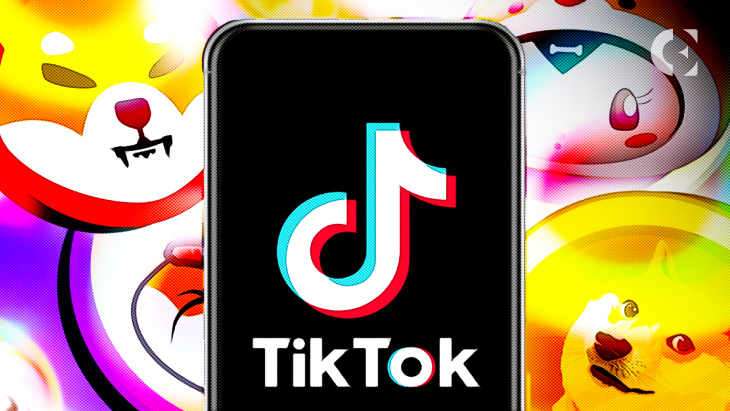 TikTok Meme Coin Rally breaks data;  #Memecoin Curiosity Hits ATH